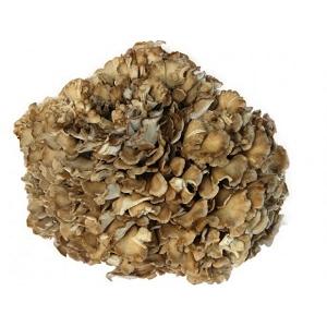 Maitake MD-frakció 150mg kivonat 20:1 + C-Vitamin 100 kapszula